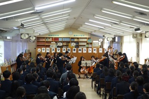 ���y�����t